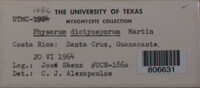 Image Associated With the Occurence